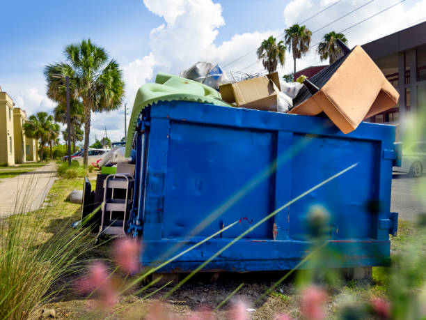 Best Office Junk Removal  in Valley City, ND